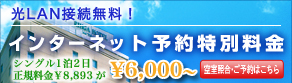 �r�W�l�X�ɂ����ȃC���^�[�l�b�g�\��͂�����
